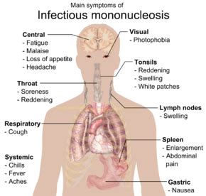 Mono leads to cancer…? | SiOWfa15: Science in Our World: Certainty and ...