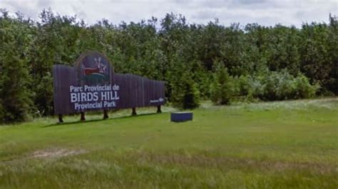 Birds Hill park set for $22M makeover | CBC News