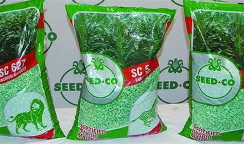 SeedCo Unveils 3 New Maize Varieties - zimbabwe