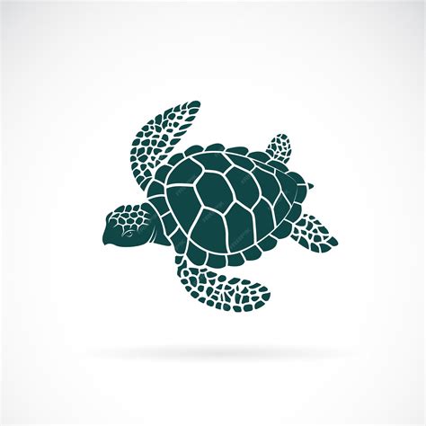 Premium Vector | Vector of turtle design on a white background Wild ...