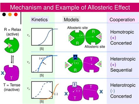 PPT - Allosteric enzymes PowerPoint Presentation - ID:3759029