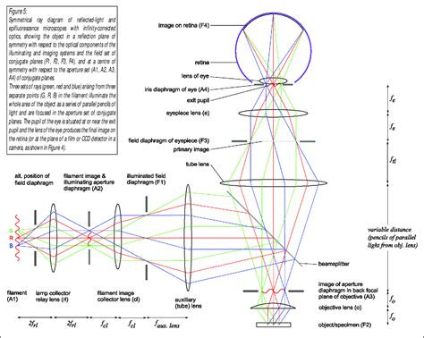 What Is Optical Light at Jeff Pyle blog