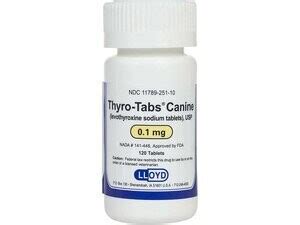 Thyro-Tabs for Dogs - Bottle of 120 tablets