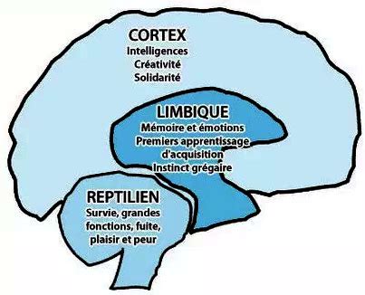 Pourquoi et comment apprendre aux élèves à gérer leurs émotions à l ...