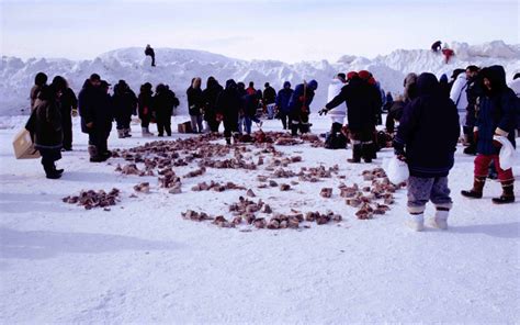 Food sovereignty as a way of overcoming colonialism in Inuit food ...