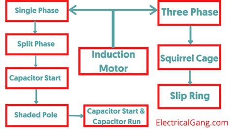 What Is an Induction Motor | Types of Induction Motor