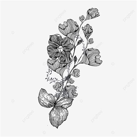 Black And White Flower Vine Drawing - Home Alqu