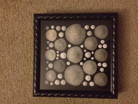 The 25+ best Sand dollar art ideas on Pinterest | Sand dollars, Sand ...