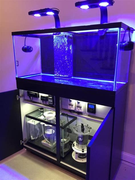 14+ Splendid DIY Aquarium Furniture Ideas To beautify Your Home | Reef ...