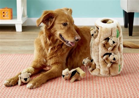 Top 10 Puzzle Toys for Dogs UK (2021) | Smart Bark