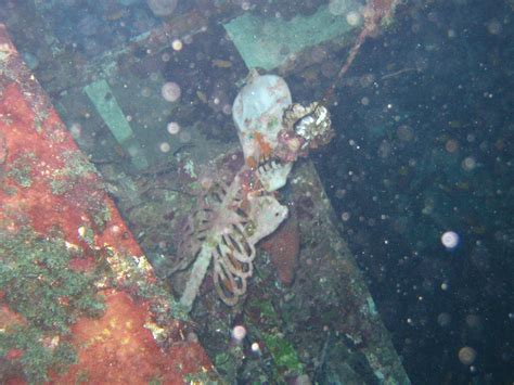 Skeleton inside the sunken yacht "Severance" | Dave Taylor | Flickr