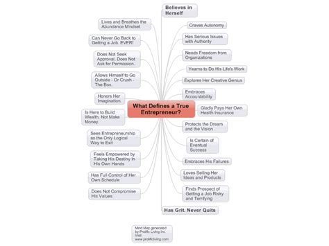 What Defines a True Entrepreneur?: MindManager mind map template ...