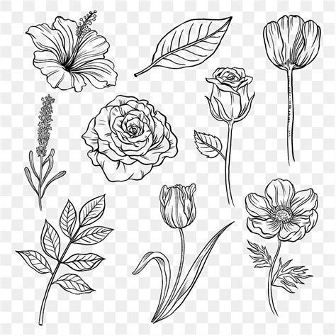 Vintage flower png clipart, black | Premium PNG - rawpixel