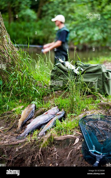 a angler fishing in the river Stock Photo - Alamy