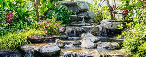 Exotic Landscape Design, Landscape Installation, Custom Waterfalls: Miami