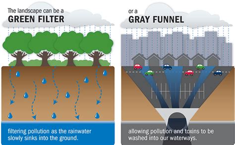 Runoff Pollution - Chesapeake Bay Foundation