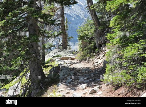 Rocky Mountain National Park in Colorado, USA. Hiking trail path Stock ...