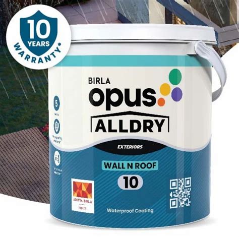 Birla Opus All Dry (WHOLESALE DISTRIBUTOR) at Rs 3950/litre | Birla ...