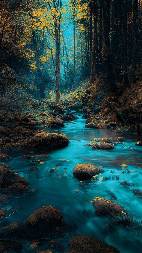 Blue river, forest, landscape, nature, rocks, trees, water, yellow ...