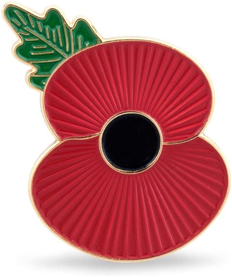 The Royal British Legion Ridge Poppy Badge: Amazon.co.uk: Jewellery