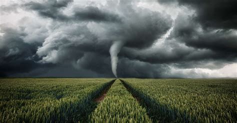 Vues de l'espace, les traces de la tornade meurtrière qui a traversé le ...