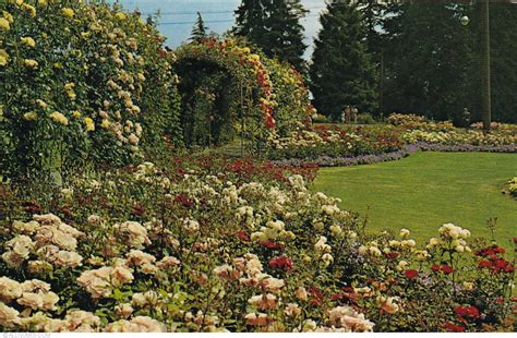 Vancouver - Stanley Park-Rose garden 1968, British Columbia-Vancouver ...