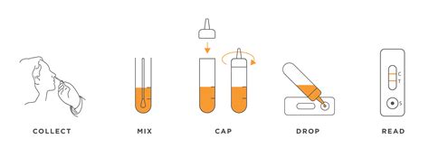 COVID-19 Antigen Rapid Test Device - Verify Diagnostics