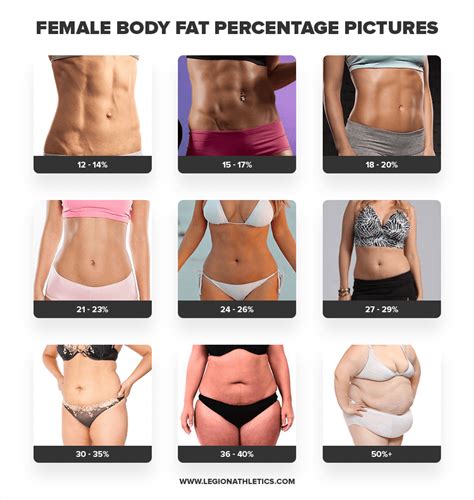 Body Fat Percentage Calculator | Gear Up to Fit