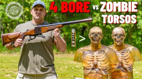 4 BORE Rifle vs Zombie Torsos (The Biggest Rifle Ever !!!) - YouTube