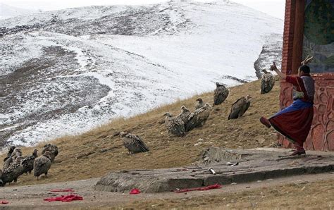 How is "sky burial" in Tibet - Pictolic