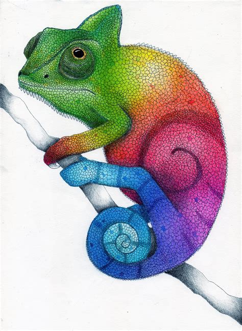 Rainbow Chameleon Color Pencil Drawing by Karen754 on DeviantArt