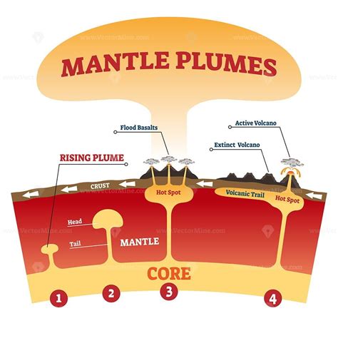 Mantle plume vector illustration - VectorMine