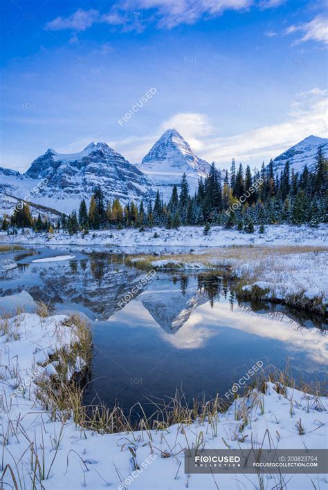 Snow-capped mountains reflecting in water in Mount Assiniboine ...