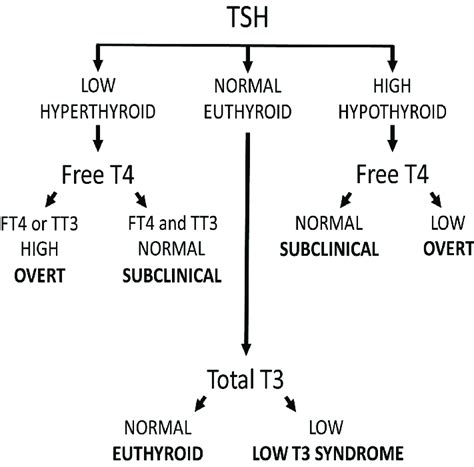 Commonly defined categories of thyroid status. FT4, free T4; TSH ...