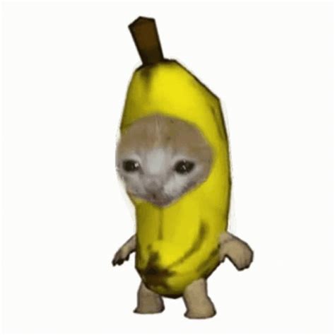 Banana Cat GIF – Banana Cat – GIFs entdecken und teilen