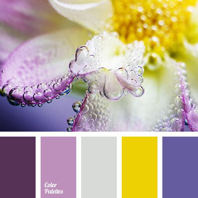 Color Palette #2905 | Color Palette Ideas