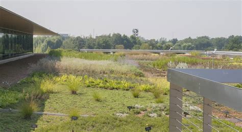 Three Years of the Green Roof Garden…and Counting – My Chicago Botanic ...