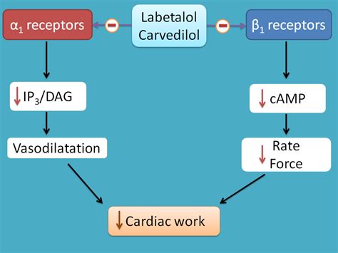 Beta blockers with additional actions