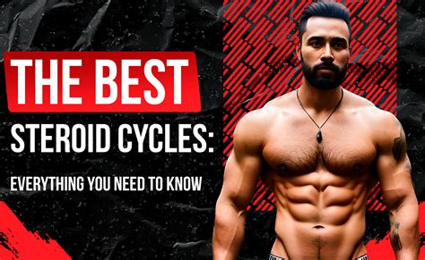 The Best Steroid Cycles: Everything You Need to Know - Strongman.org