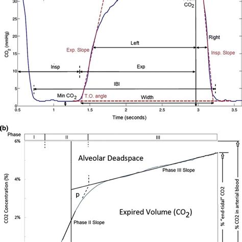 Novel features from the capnogram including (a) area ratio (AR) using ...