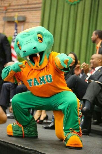 1000+ images about I'm so FAMU on Pinterest