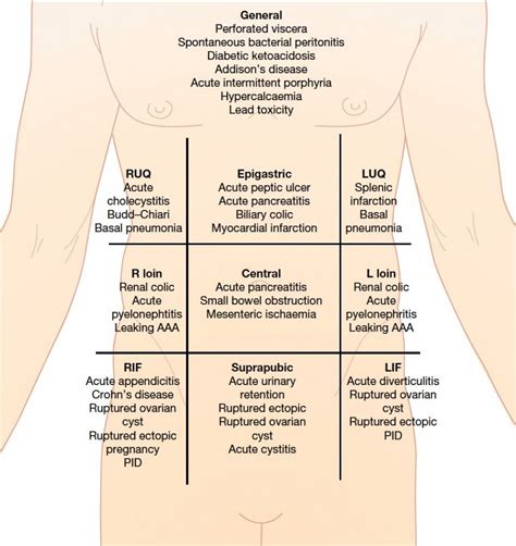 Nursing Tips, Nursing Study, Nursing Notes, Surgical Technologist ...