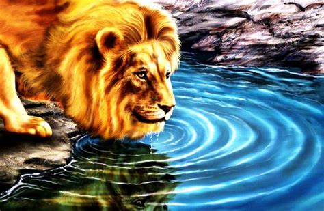 Beautiful Lion | 3D Wallpaper Beautiful Lion 3d Wallpaper Live, Tier ...