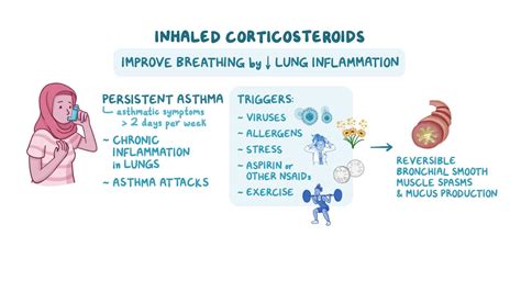 Inhaled Corticosteroids - Osmosis Video Library