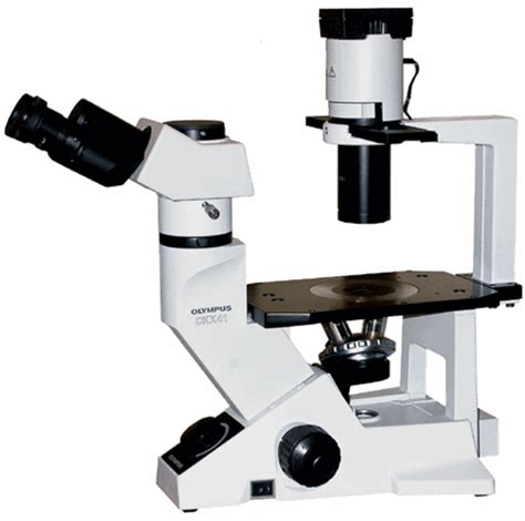 Olympus CKX41 Inverted Tissue Culture Microscope