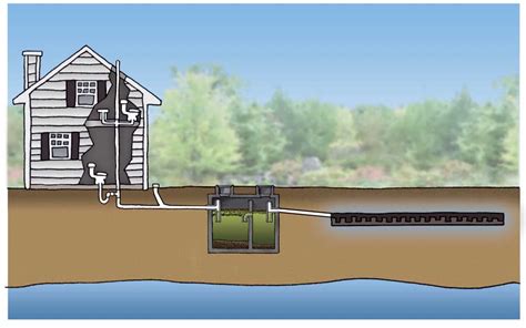 How Does a Septic Tank Work and Routine Maintenance - Grit