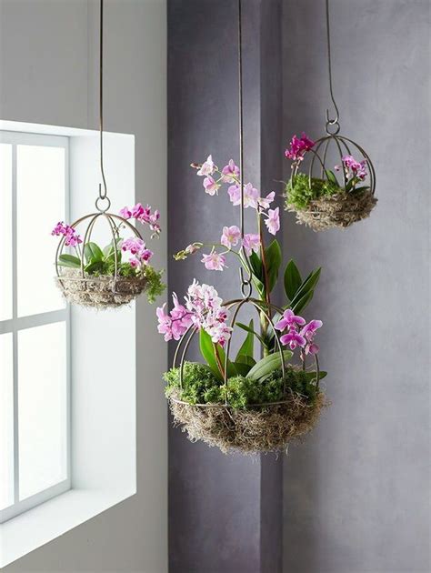 Cute Indoor Hanging Plants Ideas For This Spring 46 i 2020 | Växter, Gård