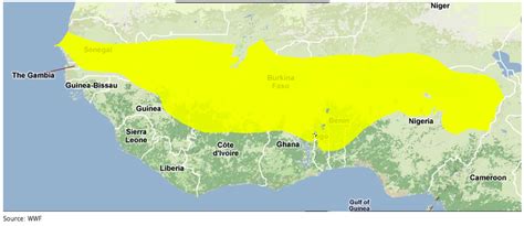 West Sudanian Savanna: Spatial Scale and General Description