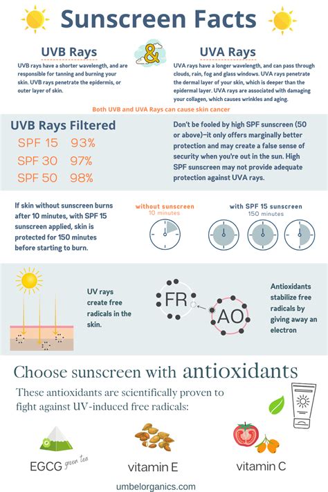 Sunscreen Facts, Sunscreen Guide, Chemical Sunscreen, Natural Sunscreen ...