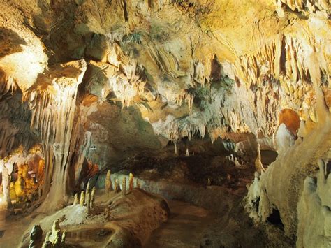 Limestone caves - The Australian Museum